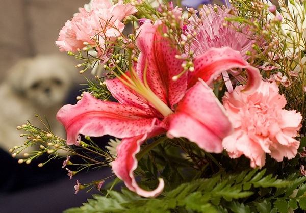 Flowers